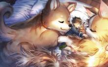 もふもふとむくむくと異世界漂流生活, ふもふとむくむくと異世界漂流生活