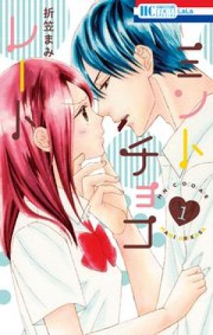 ミントチョコレート ミントチョコレート