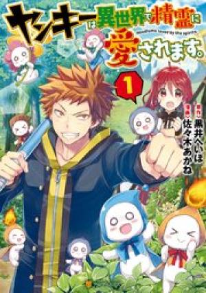 ヤンキーは異世界で精霊に愛されます。 ヤンキーは異世界で精霊に愛されます。