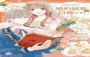婚約破棄が目標です！