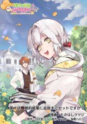 元宮廷錬金術師の私、辺境でのんびり領地開拓はじめます! ~婚約破棄に追放までセットでしてくれるんですか?~ 元宮廷錬金術師の私、辺境でのんびり領地開拓はじめます! ~婚約破棄に追放までセットでしてくれるんですか?~