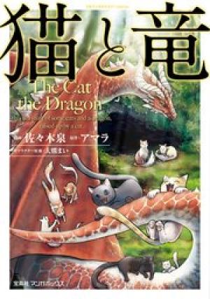 猫と竜 猫と竜