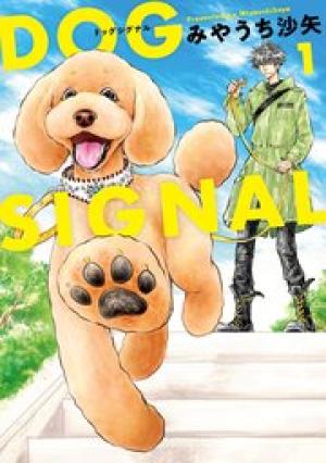 DOG SIGNAL DOG SIGNAL