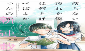 落ちない汚れを僕は何と呼べばよかったのか